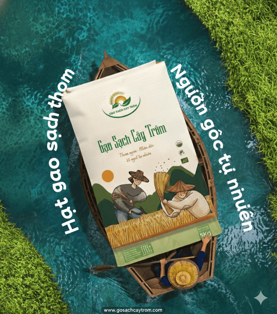 Câu chuyện Gạo Cây Trôm